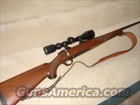 Ruger M77 7mm Mag 3x to 10x Bushnell