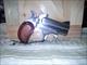 bond snake slayer .410
