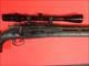 MAUSER Modelo 1895