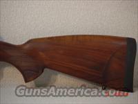 CZ-USA 550 SAFARI 416 Rigby