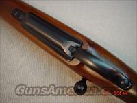 CZ-USA 550 SAFARI 416 Rigby