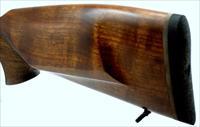 CZ-USA 527 LUX 22 HORNET