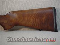 CZ-USA 455 American VARMINT 17HMR
