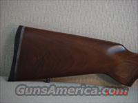 CZ-USA 455 American VARMINT 17HMR