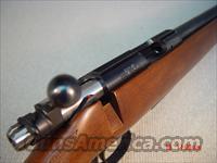 CZ-USA 455 American VARMINT 17HMR