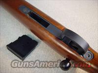 CZ-USA 455 American VARMINT 17HMR