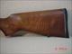 CZ-USA 455 American VARMINT 17HMR