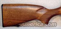 CZ-USA 455 TRAINER 22 LR