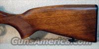 CZ-USA 455 TRAINER 22 LR