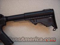 DPMS PANTHER A3 LITE AR15 with 30 ROUND 