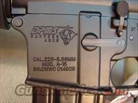 DPMS PANTHER A3 LITE AR15 with 30 ROUND MAG