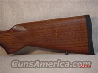 CZ-USA 455 American VARMINT .17HMR THREADED 