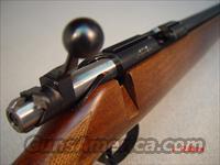 CZ-USA 455 American VARMINT .17HMR THREADED 