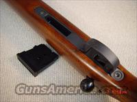 CZ-USA 455 American VARMINT .17HMR THREA