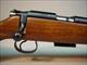 CZ-USA 455 American VARMINT .17HMR THREADED 