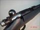 CZ-USA 455 AMERICAN SYNTHETIC 22LR