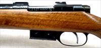CZ-USA 527 VARMINT 17 HORNET
