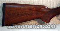 CZ-USA 527 VARMINT 17 HORNET