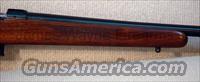 CZ-USA 527 VARMINT 17 HORNET