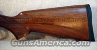 CZ-USA 527 VARMINT 17 HORNET