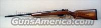CZ-USA 527 VARMINT 17 HORNET