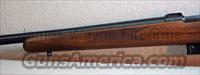 CZ-USA 527 VARMINT 17 HORNET