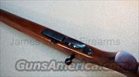CZ-USA 527 VARMINT 17 HORNET