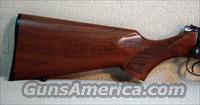 CZ-USA 455 AMERICAN 22 WMR