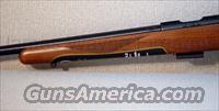 CZ-USA 455 AMERICAN 22 WMR
