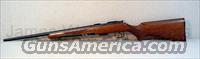 CZ-USA 455 AMERICAN 22 WMR