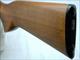 CZ-USA 452 SCOUT 22LR MODEL 02050 