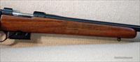 CZ-USA 527 AMERICAN 17HORNET