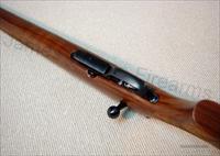 CZ-USA 527 AMERICAN 17HORNET