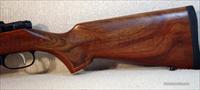 CZ-USA 527 AMERICAN 17HORNET