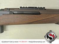 Springfield M1A Scout Squad Walnut Stock .308 Win New