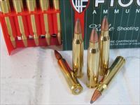223 Fiocchi 55gr PSP 100 Rnds 223 Rem 5.