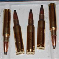 308 Win 80Rds Privi 180gr S.P. 308win 7.