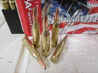 243 Win 100Rnds Hornady Amer Whitetail .243 243Win