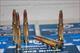 303 British 60 Rnds 180 gr Soft point .303 Brit.