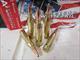 243 Win 200Rnd Hornady Amer Whitetail 243Win .243