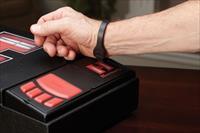 Hornady Security Rapid Safe