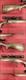Remington model 788 .243 Winchester