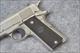 Colt's Government Model Series 80 1911 .45ACP