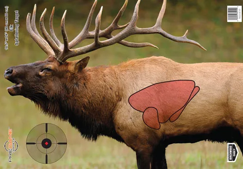 Birchwood Casey B/C TARGET PREGAME 16.5"X24" ELK TARGET 3-TARGETS