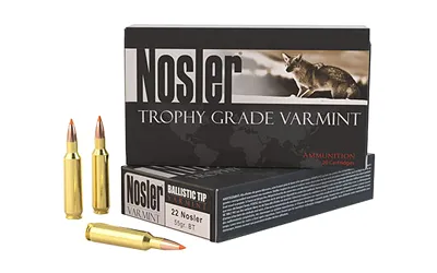 Nosler NOSLER 22NOS 55GR BT 20/200