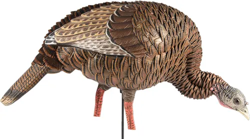 Avian-X AVIAN X HDR FEEDING HEN DECOY