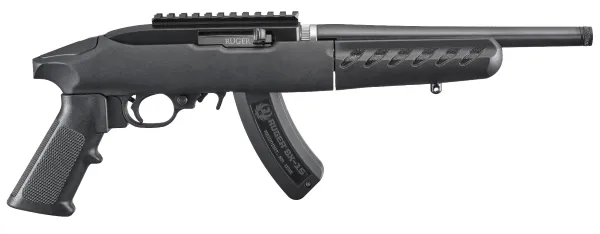 Ruger 22 Charger 4924