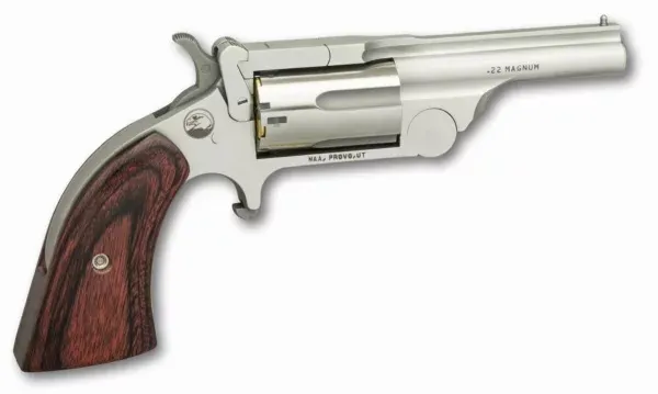 North American Arms 22MR250