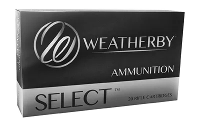 Weatherby WBY 300WBY 180GR INTERLOCK