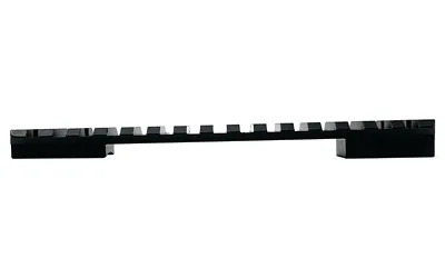 DNZ DNZ REM 700 LA PIC RAIL 20MOA W/8-40